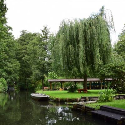 华体会登录手机版